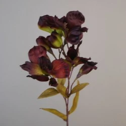 Artificial Chocolate Alstroemeria 63cm - A098 HH4
