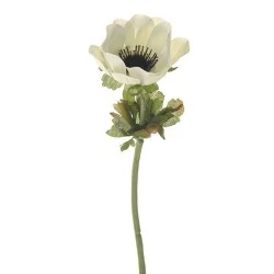 Artificial Anemones Cream 35cm - A015 JJ4