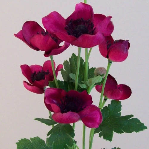 Artificial Japanese Anemones Magenta Pink 68cm - A095 A3