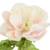 Sorbet Anemones Cream Peach 44cm - A100 A4