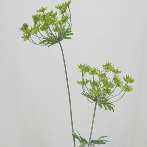 Anethum Green 90cm - A004 B2