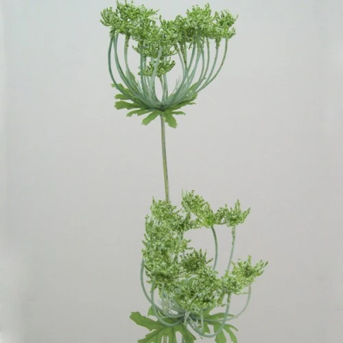 Anethum White 90cm - A005 B2