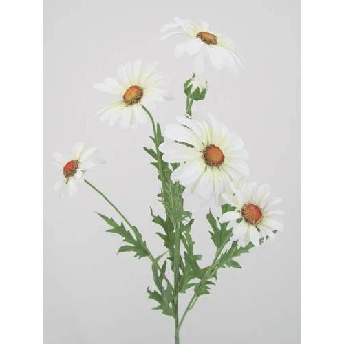Silk Daisies | Large Artificial Field Daisy 64cm - D016 E2
