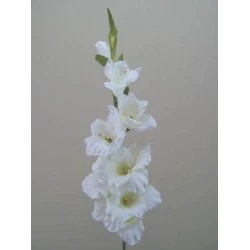 Artificial Gladiola Ivory 94cm - G035 