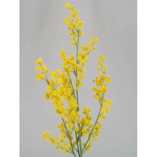 Artificial Mimosa 76cm - M008 I3
