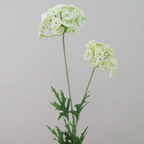 Artificial Queen Anne's Lace White 74cm - Q002 R4