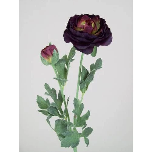 Ranunculus Damson 40cm - R042A N3