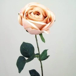 Artificial Roses High Arena Champagne Peach 60cm - R038 M3