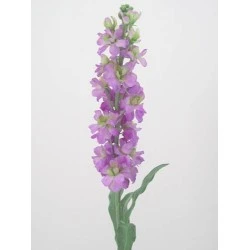 Artificial Stocks Lilac 85cm - S012 R4
