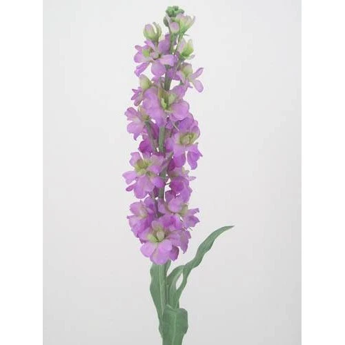 Artificial Stocks Lilac 85cm - S012 R4