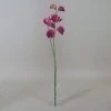 Artificial Sweet Peas Stem Hot Pink 49cm - S066 
