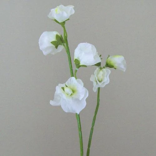 Artificial Sweet Peas Stem White 49cm - S065 U3