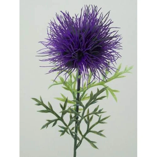 Thistle Spray Purple 60cm - T010A DD2