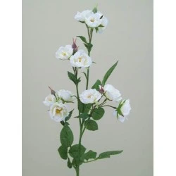 Wild Rose Spray White 74cm - R102 H2