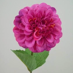 Zinnia Hot Pink 46cm - Z021 T3