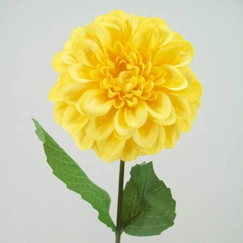 Zinnia Yellow 46cm - Z020 