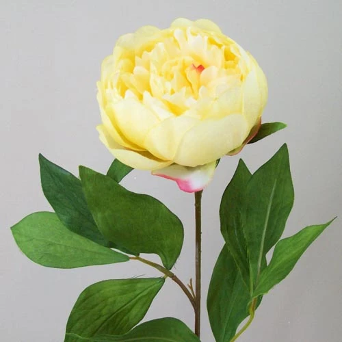 Peony Flowers Yellow 60cm - P025 K2