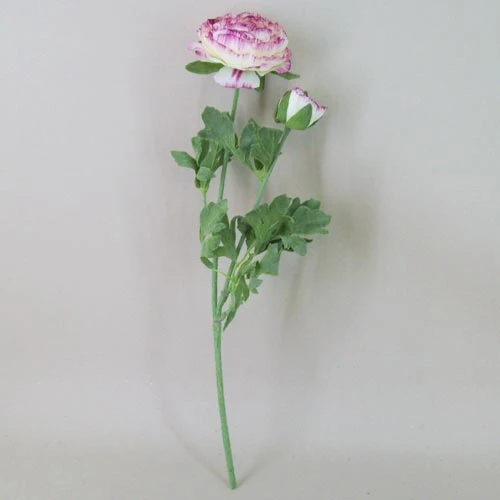Artificial Ranunculus Flowers Cream and Dark Pink 40cm - R042B M3