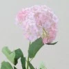 Silk Viburnum | Guelder Rose Pink - V014 BX6