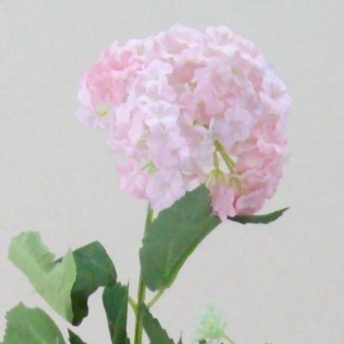 Silk Viburnum | Guelder Rose Pink - V014 BX6