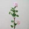 Silk Viburnum | Guelder Rose Pink - V014 BX6