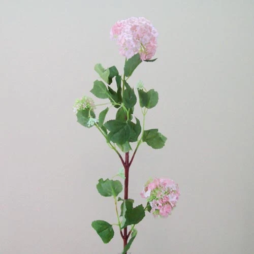 Silk Viburnum | Guelder Rose Pink - V014 BX6