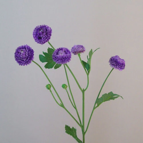 Artificial Button Asters Purple 58cm - A111 A2
