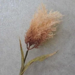 Artificial Pampas Mocha 89cm | Faux Dried Flowers - A072 J1
