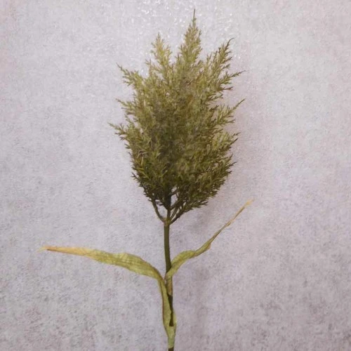 Artificial Pampas Olive Green 89cm | Faux Dried Flowers - A071 J1