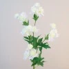 Artificial Astrantia White 65cm - A105 A2