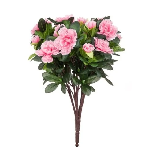 Azalea Plants Pink 36cm -  A154 D3