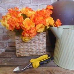 Begonia Plants Orange 28cm - B086 H3