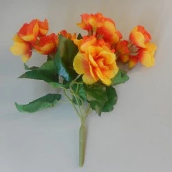 Begonia Plants Orange 28cm - B086 H3