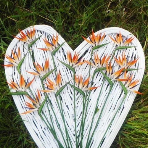 Artificial Birds of Paradise Small 64cm - B002 