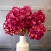 Artificial Cherry Blossom Branch Dark Pink 73cm - B093 B1