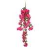 Trailing Bougainvillea Plant Hot Pink 122cm - B006 B1