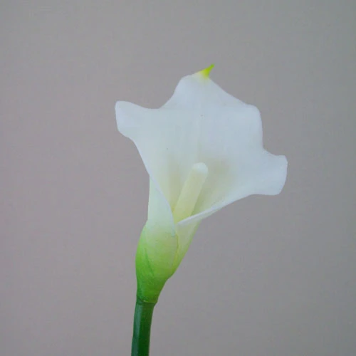 Artificial Calla Lilies Real Touch Small White 66cm - C159 