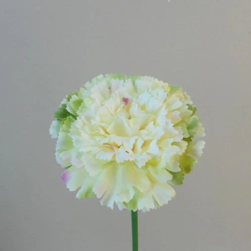 Silk Carnation Cream and Green 38cm - C003 B4