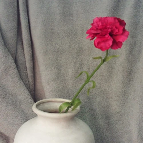 Silk Carnation Cerise Pink 60cm - C023 B3