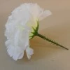 Short Stem Carnation Ivory 9cm - C066 FF3