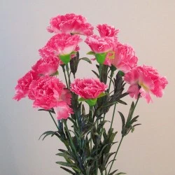 Fleur Artificial Carnations Bunch Pink 45cm - C244 J2