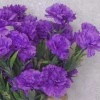 Fleur Artificial Carnations Bunch Purple - C256 J4