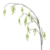 Artificial Catkin Branch 124cm - C082 C1