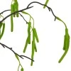 Artificial Catkin Branch 124cm - C082 C1