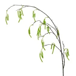 Artificial Catkin Branch 124cm - C082 C1