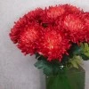 Artificial Bloom Chrysanthemum Red 66cm - C063 D3