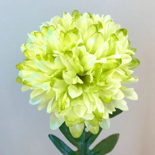 Pompom Chrysanthemum Lime Green 74cm - C248 B1
