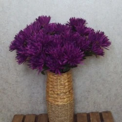 Artificial Spider Chrysanthemums Aubergine with Green Leaves 64cm - S108 D2
