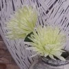Artificial Spider Chrysanthemums Avocado Green 64cm - S135 S2