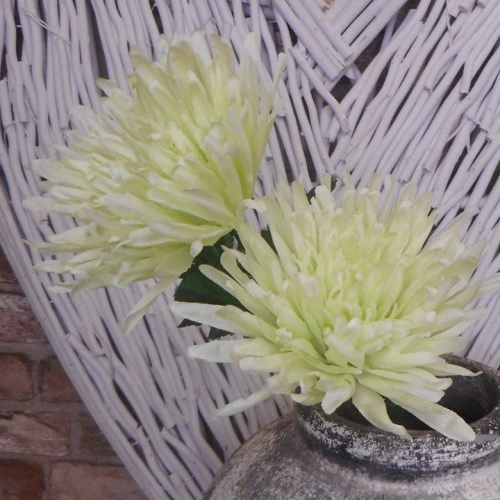 Artificial Spider Chrysanthemums Avocado Green 64cm - S135 S2
